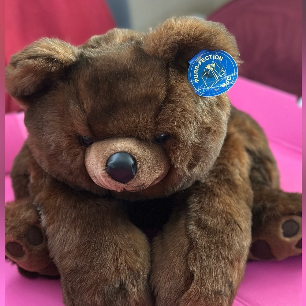 Teddy bear